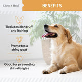 CHEW + HEAL - Chew + Heal Labs Wild Caught Omega 3 Fish Oil for Large Breed 180 Capsulas Blandas 2 Pack - The Red Vitamin MX - Aceite De Pescado Para Perros - {{ shop.shopifyCountryName }}