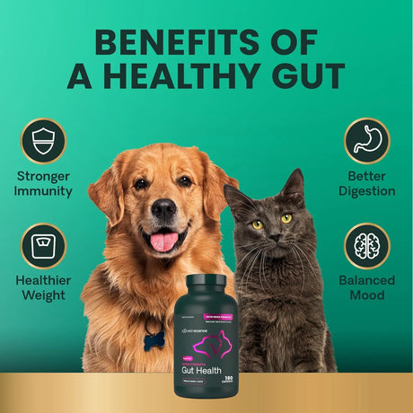 VETRISCIENCE - VetriScience Extra Strength Gut Health Probiotic & Prebiotic 180 Capsulas - The Red Vitamin MX - Probióticos Para Perros - {{ shop.shopifyCountryName }}