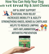 VET TREAT - Vet Treat Glucosamine for Dogs Hip & Joint Supplement 120 Masticables - The Red Vitamin MX - Cuidado De Cadera Y Articulaciones Para Perros - {{ shop.shopifyCountryName }}