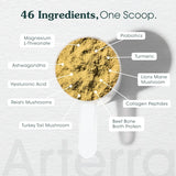 ARTERRA - Arterra Longevity Multivitamin for Adult Dogs 30 Servicios 147Gr. - The Red Vitamin MX - Multivitamínicos Para Perros - {{ shop.shopifyCountryName }}