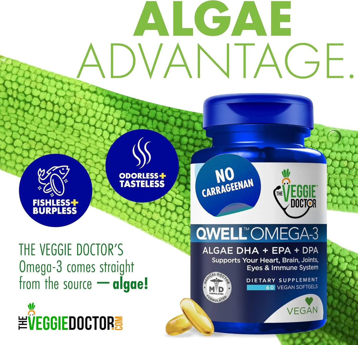 THE VEGGIE DOCTOR - The Veggie Doctor Vegan Omega 3 60 Capsulas Blandas - The Red Vitamin MX - Suplementos Alimenticios - {{ shop.shopifyCountryName }}