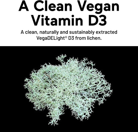 SMARTER NUTRITION - Smarter Nutrition Vegan Vitamin D3 5000 IU + Vitamin K2 1100mcg 60 Capsulas Blandas - The Red Vitamin MX - Suplementos Alimenticios - {{ shop.shopifyCountryName }}