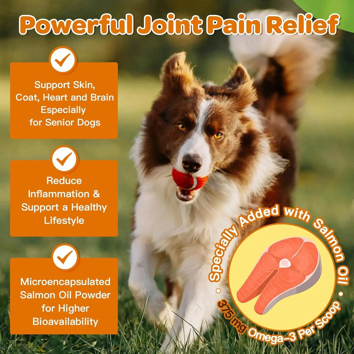 NATURE TARGET - NATURE TARGET Hip & Joint Glucosamine for Dogs 90 Servicios 270Gr. - The Red Vitamin MX - Cuidado De Cadera Y Articulaciones Para Perros - {{ shop.shopifyCountryName }}
