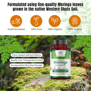 ORGANIC AURA - Organic Aura Moringa Leaf 1500Mg. 150 Capsulas - The Red Vitamin MX - Suplementos Alimenticios - {{ shop.shopifyCountryName }}