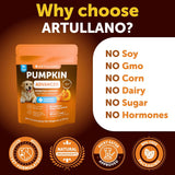 Artullano Pumpkin Powder for Dogs Digestive Support 453Gr.