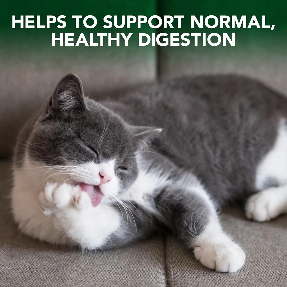 Vet’s Best Cat Hairball Relief Digestive Aid 60 Tabletas Masticables