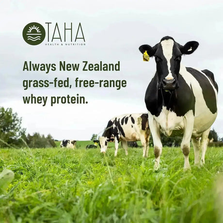 TAHA - Taha New Zealand Grass-Fed Whey Protein Concentrate Powder Vanilla 907Gr. - The Red Vitamin MX - Suplementos Alimenticios - {{ shop.shopifyCountryName }}