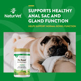 NaturVet No Scoot for Dogs Plus Pumpkin 155Gr.