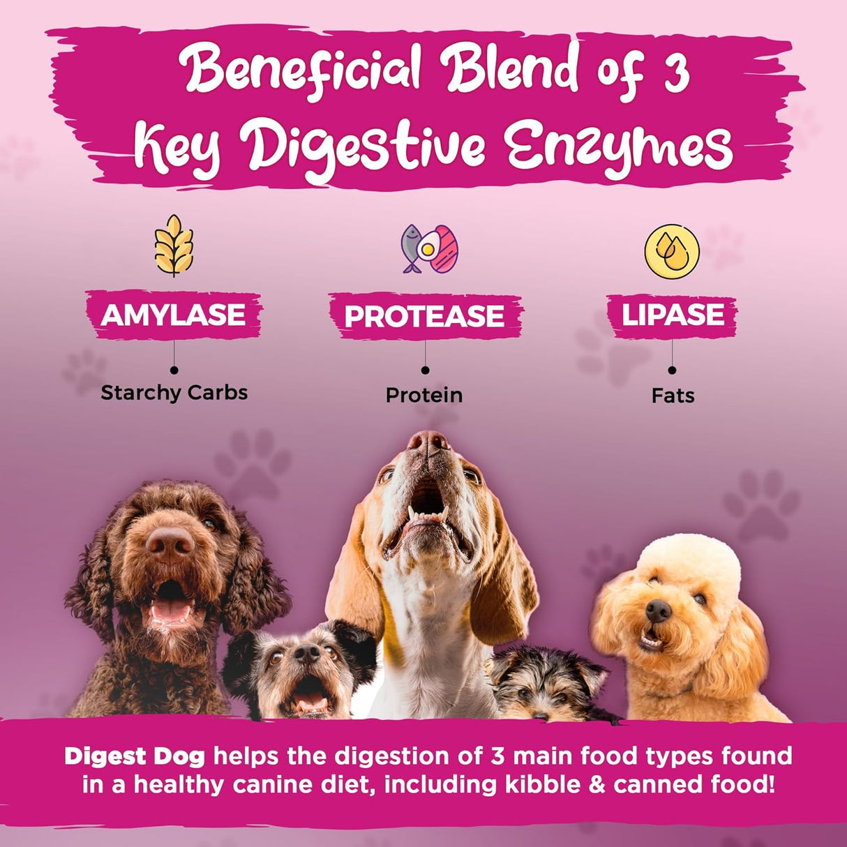 Vital Planet Digest Dog Digestive Pancreatic Enzyme Blend 30 Servicios 111Gr.