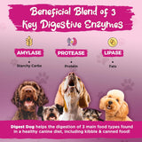 Vital Planet Digest Dog Digestive Pancreatic Enzyme Blend 30 Servicios 111Gr.