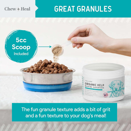 CHEW + HEAL - Chew + Heal Labs Kelp Supplement for Dogs 16 Oz. - The Red Vitamin MX - Suplementos Herbales Para Perros - {{ shop.shopifyCountryName }}