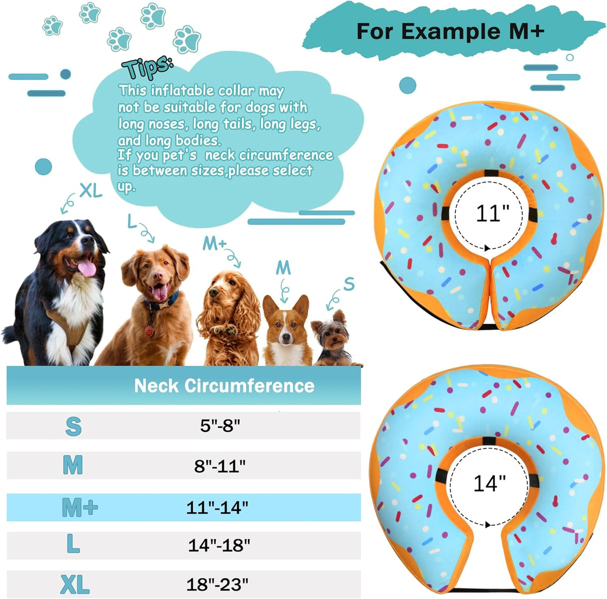 Cneo Recovery Donut Collar BLUE MEDIUM PLUS