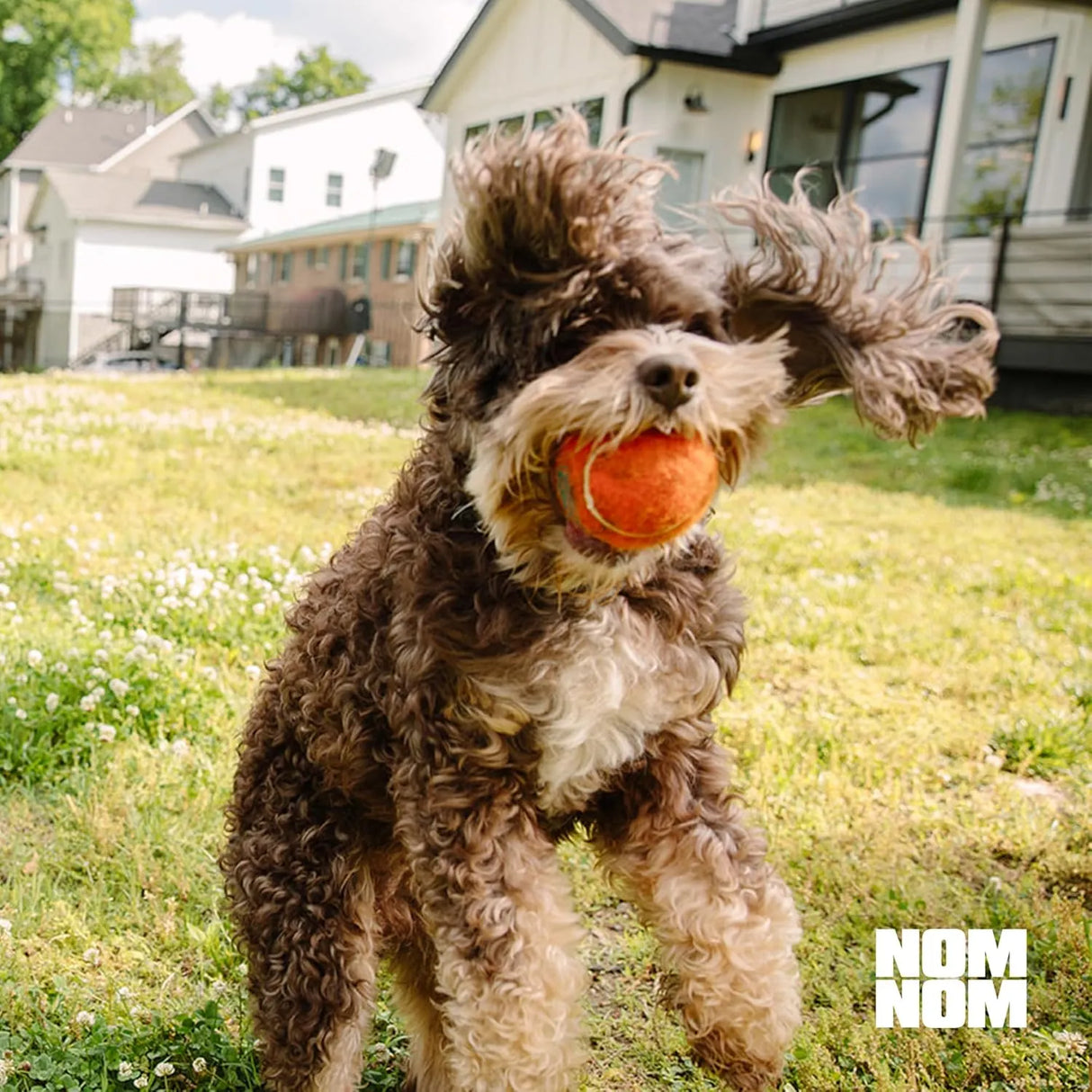NOMNOMNOW - Nom Nom Dog GI-Targeted Probiotic Support 60Gr. - The Red Vitamin MX - Probióticos Para Perros - {{ shop.shopifyCountryName }}
