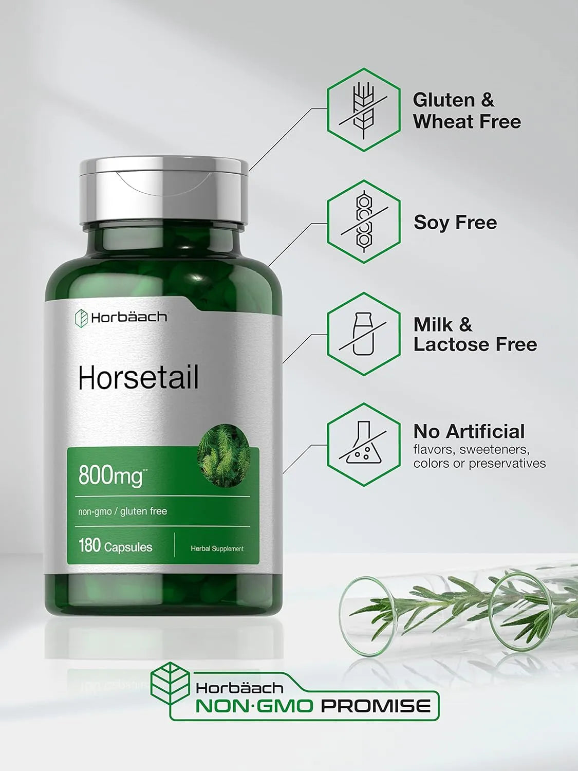 HORBAACH - Horbaach Horsetail Herb 800Mg. 180 Capsulas - The Red Vitamin MX - Suplementos Alimenticios - {{ shop.shopifyCountryName }}