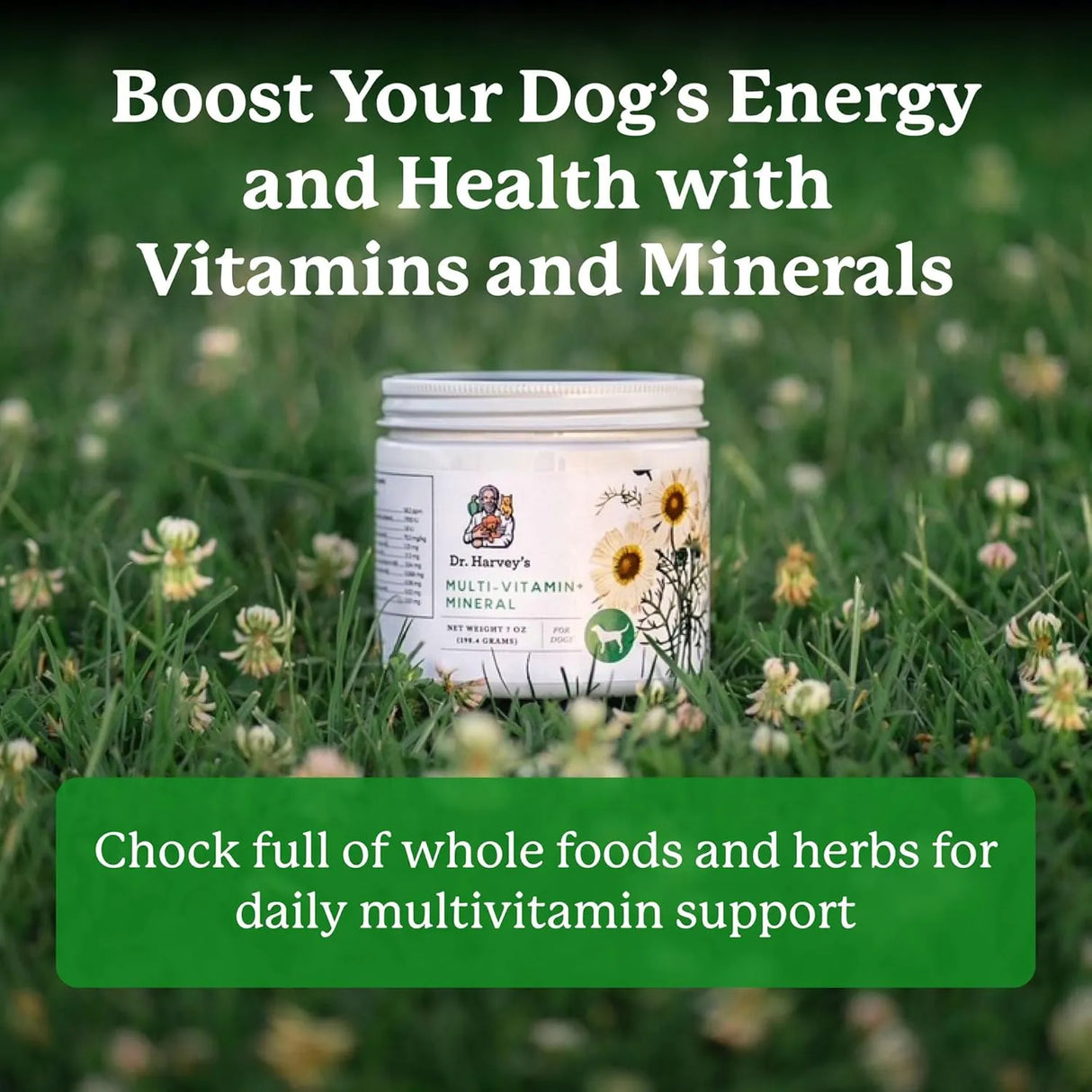 DR. HARVEY'S - Dr. Harvey's Herbal Multi-Vitamin and Mineral Supplement for Dogs 198Gr. - The Red Vitamin MX - Multivitamínicos Para Perros - {{ shop.shopifyCountryName }}