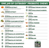 CLEAN PETS - Clean Pets Probiotics for Dogs with Pumpkin Colostrum Digestive Enzymes 60 Masticables - The Red Vitamin MX - Probióticos Para Perros - {{ shop.shopifyCountryName }}