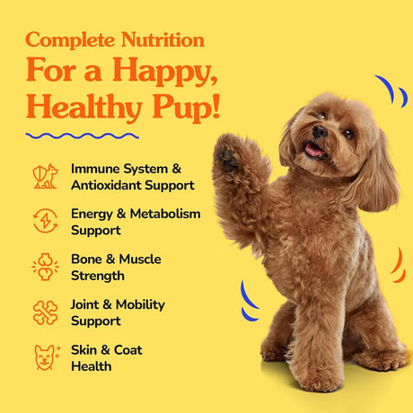 DR JAY'S - Dr Jay's Romps Multivitamins Dog Chews 30 Masticables - The Red Vitamin MX - Multivitamínicos Para Perros - {{ shop.shopifyCountryName }}