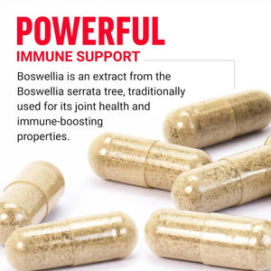 FORCE FACTOR - FORCE FACTOR Boswellia Extract 500Mg. 120 Capsulas - The Red Vitamin MX - Suplementos Alimenticios - {{ shop.shopifyCountryName }}