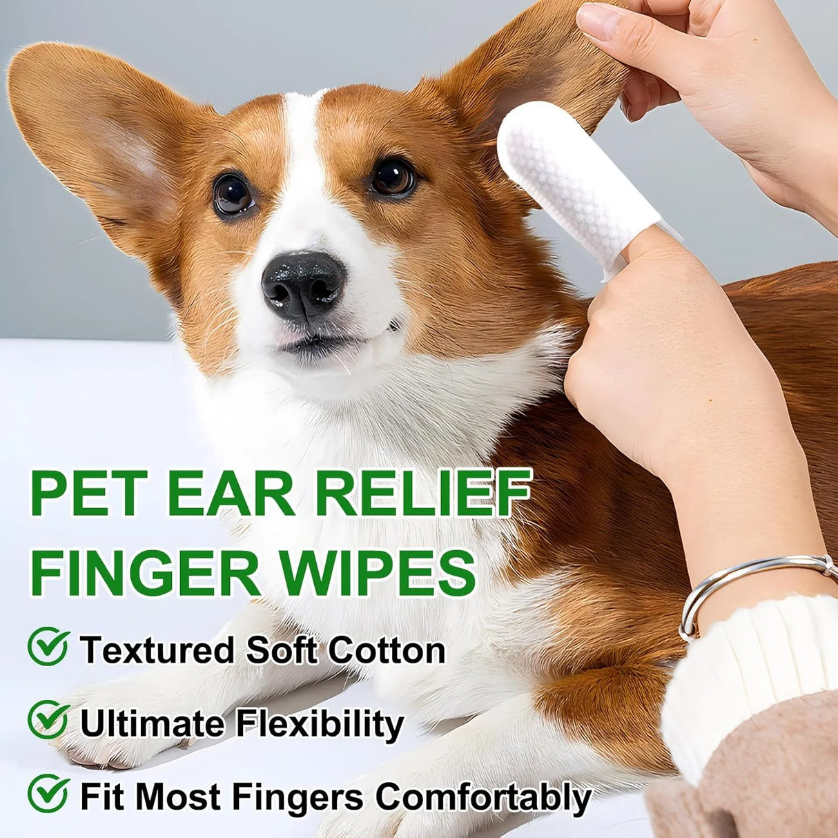 OIMMAL - OIMMAL Dog Ear Wipes 50 Toallitas - The Red Vitamin MX - Cuidado Del Oído De Perros - {{ shop.shopifyCountryName }}