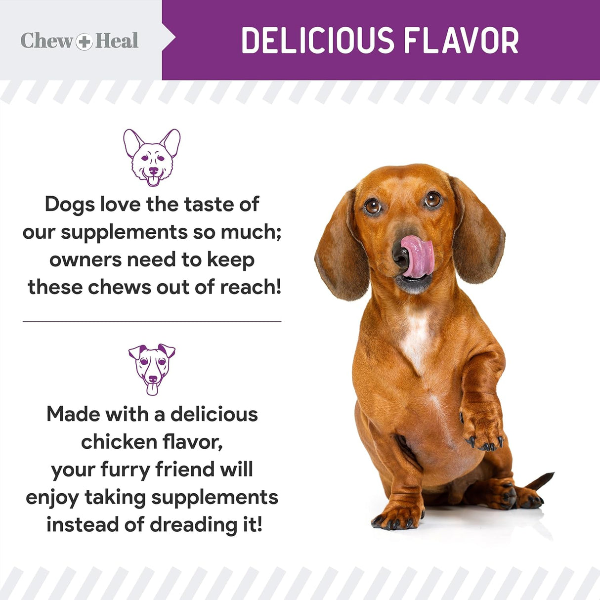 Chew + Heal Labs Stop The Scoot Fiber for Dogs 120 Masticables 2 Pack