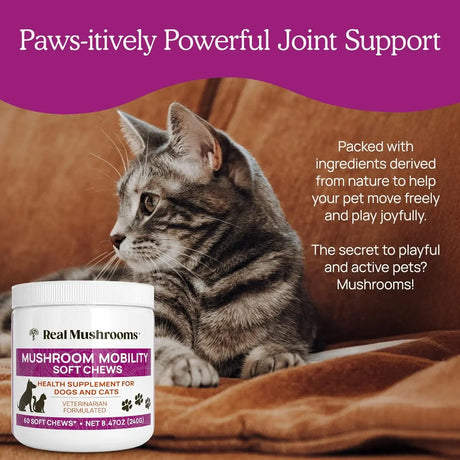 REAL MUSHROOMS - Real Mushrooms Mobility Chews for Dogs & Cats 60 Masticables - The Red Vitamin MX - Suplementos Herbales Para Perros - {{ shop.shopifyCountryName }}