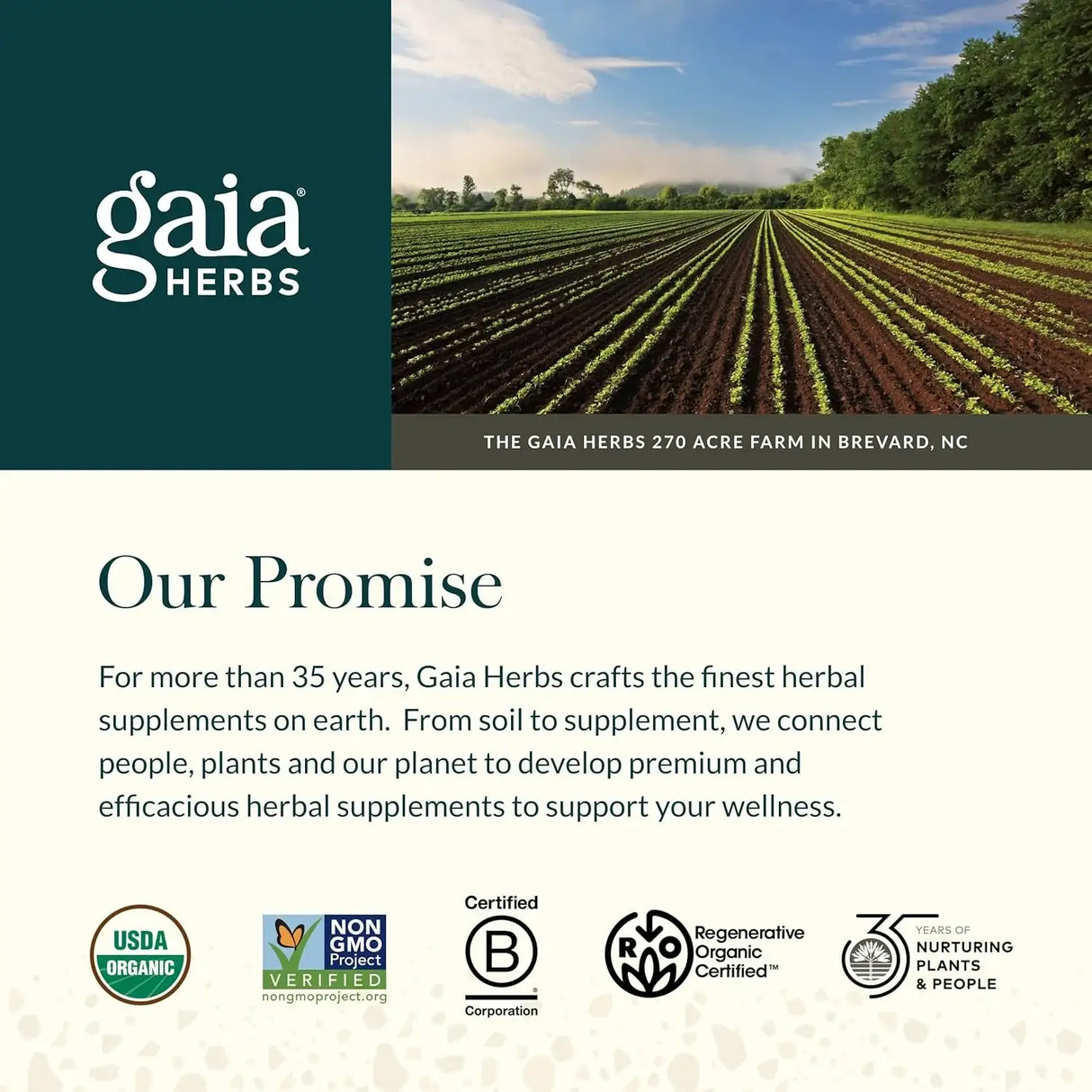 GAIA HERBS - Gaia Herbs Valerian Root 60 Capsulas - The Red Vitamin MX - Suplementos Alimenticios - {{ shop.shopifyCountryName }}