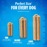 PURINA - Purina DentaLife ActivFresh Dog Chews for Small and Medium Dogs 21 Piezas - The Red Vitamin MX - Cuidado Dental Para Perros - {{ shop.shopifyCountryName }}