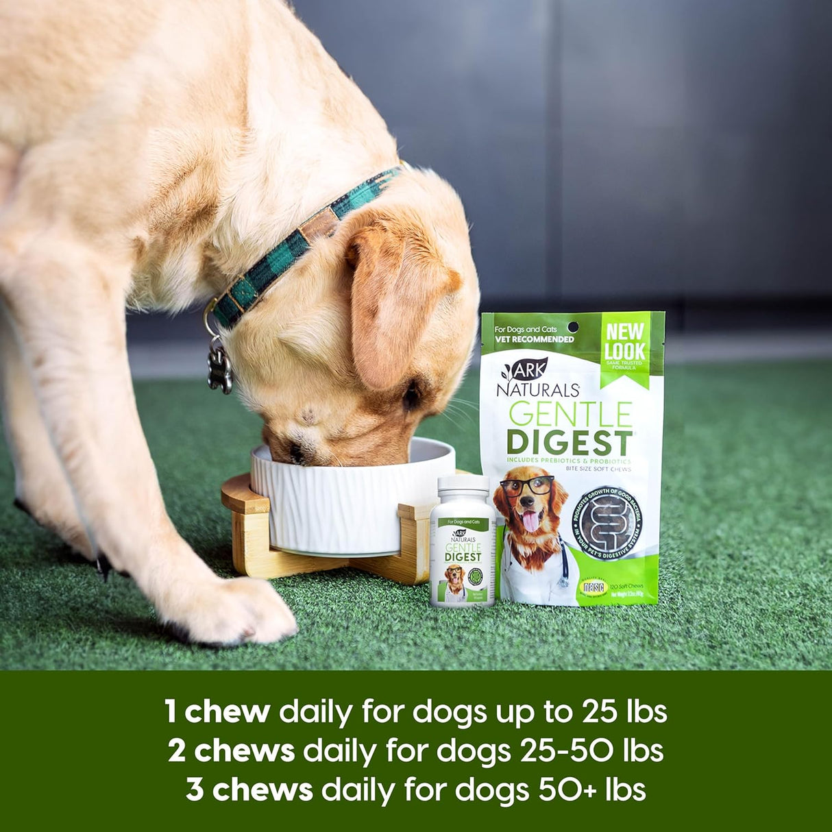 ARK NATURALS Gentle Digest Soft Chews 120 Masticables