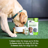 ARK NATURALS Gentle Digest Soft Chews 120 Masticables