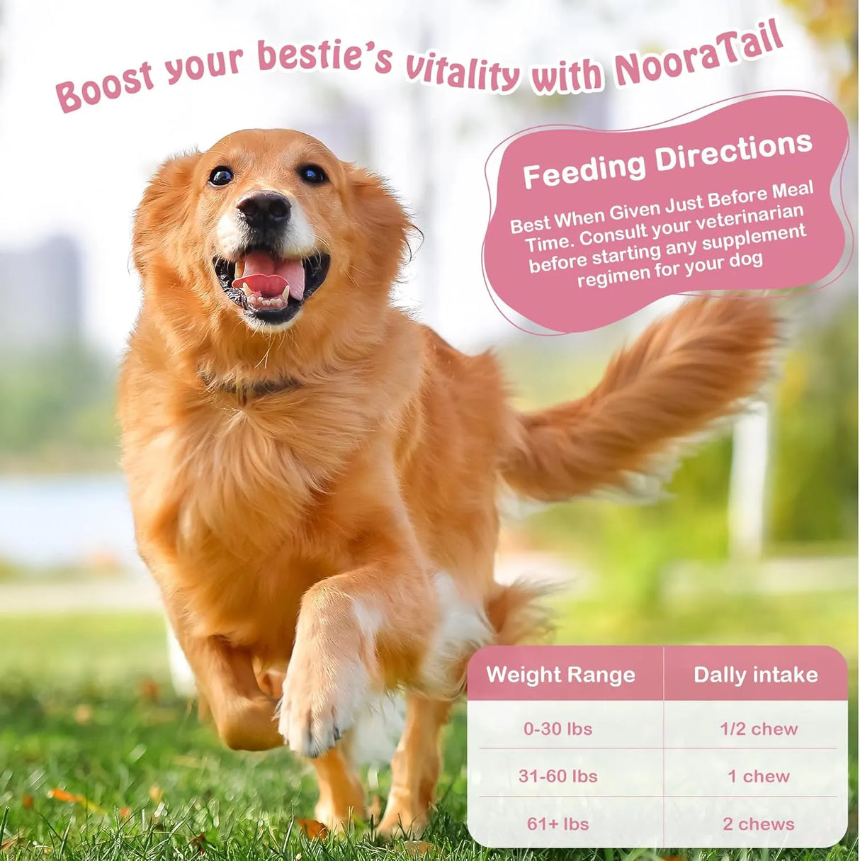 NOORATAIL - NooraTail 8-in-1 Dog Multivitamin 50 Masticables - The Red Vitamin MX - Multivitamínicos Para Perros - {{ shop.shopifyCountryName }}