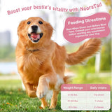 NOORATAIL - NooraTail 8-in-1 Dog Multivitamin 50 Masticables - The Red Vitamin MX - Multivitamínicos Para Perros - {{ shop.shopifyCountryName }}