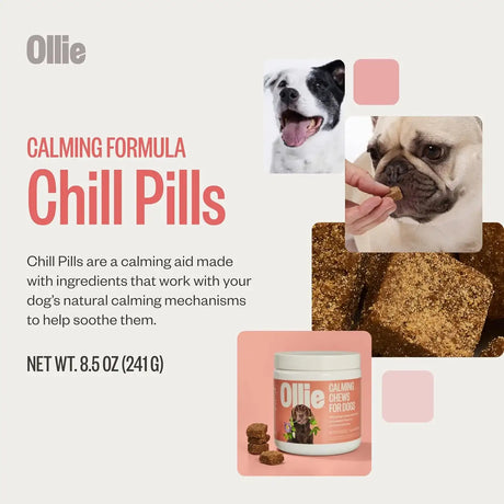OLLIE - Ollie Chill Pills Calming Supplement Chews for Dogs 60 Masticables - The Red Vitamin MX - Relajantes Para Perros - {{ shop.shopifyCountryName }}