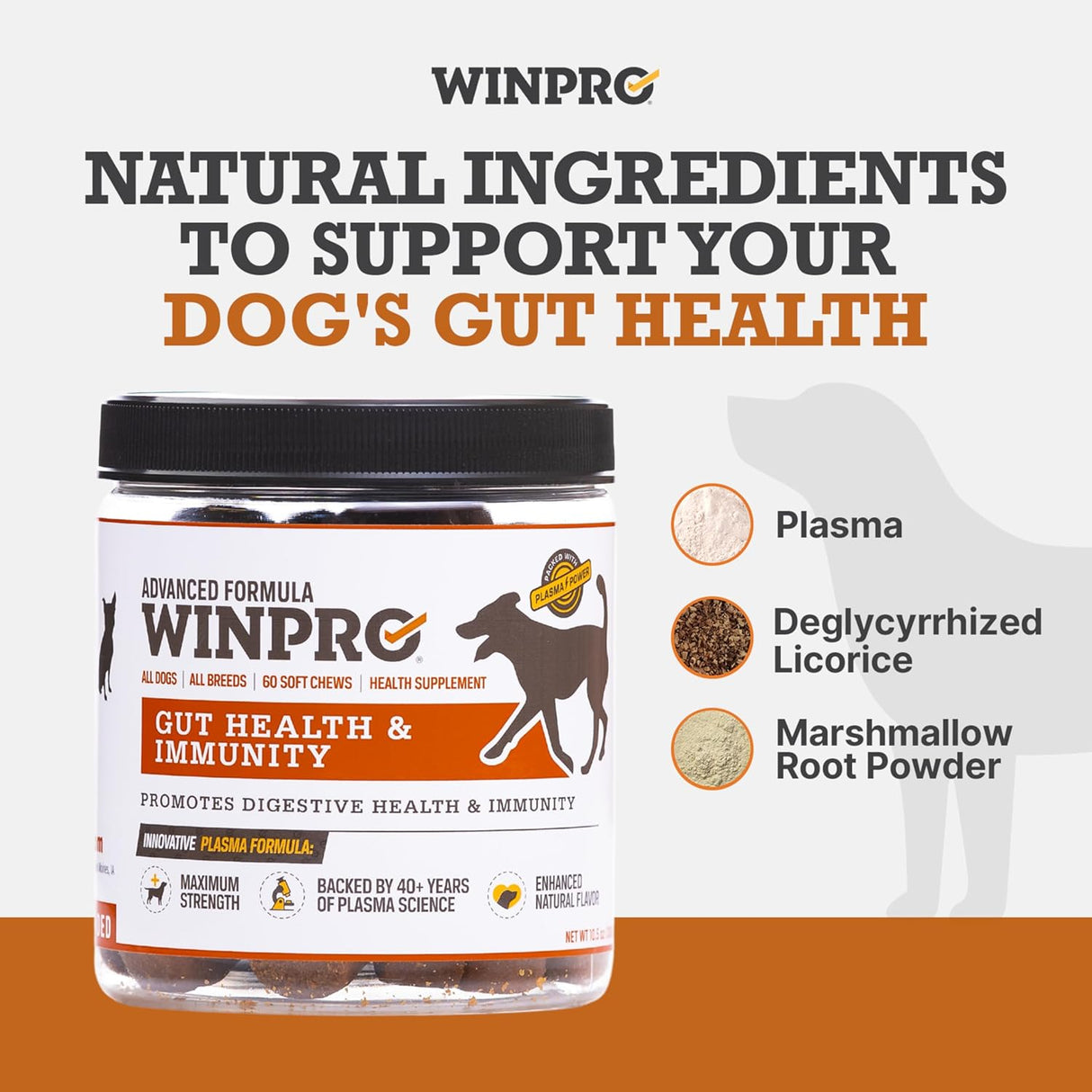 WINPRO Dog Gut Health Supplements 60 Masticables