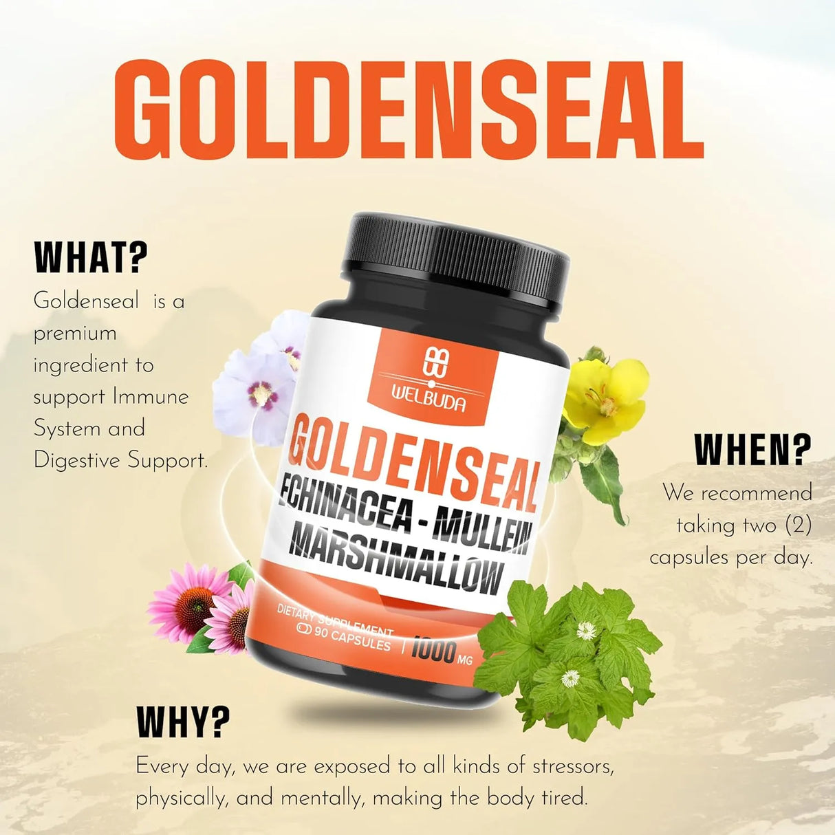 WELBUDA - WELBUDA Goldenseal Root Extract 10:1 with Echinacea, Mullein Leaf, Marshmallow 90 Capsulas - The Red Vitamin MX - Suplementos Alimenticios - {{ shop.shopifyCountryName }}