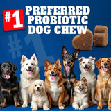 BEST PROBIOTICS FOR DOGS - BEST Probiotics for Dogs Digestive Health 30 Masticables - The Red Vitamin MX - Probióticos Para Perros - {{ shop.shopifyCountryName }}