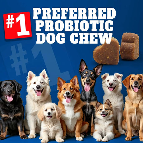 BEST PROBIOTICS FOR DOGS - BEST Probiotics for Dogs Digestive Health 30 Masticables - The Red Vitamin MX - Probióticos Para Perros - {{ shop.shopifyCountryName }}