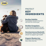 FOUR LEAF ROVER - FOUR LEAF ROVER Protect Probiotics for Dogs 115Gr. - The Red Vitamin MX - Probióticos Para Perros - {{ shop.shopifyCountryName }}
