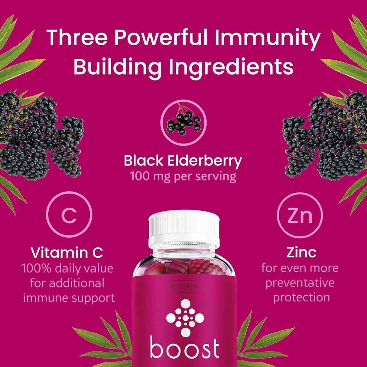 WELLPATH - WellPath Boost Elderberry Gummies with Zinc & Vitamin C 60 Gomitas 3 Pack - The Red Vitamin MX - Suplementos Alimenticios - {{ shop.shopifyCountryName }}