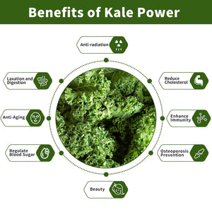 Hudetex Kale Powder Organic 226Gr.