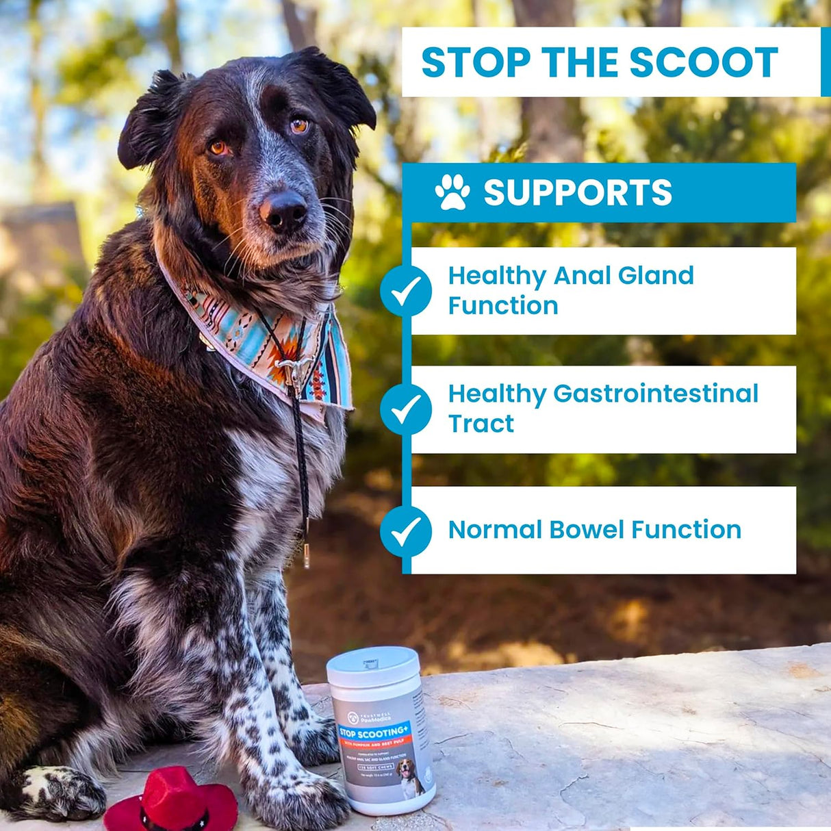 TRUSTWELL PAWMEDICA Dog Anal Gland Chews to Stop Scoot for Dogs 120 Masticables