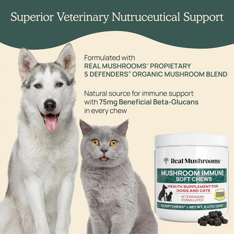 REAL MUSHROOMS - Real Mushrooms Immune Soft Chews for Pets 60 Masticables - The Red Vitamin MX - Suplementos Herbales Para Perros - {{ shop.shopifyCountryName }}