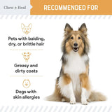 CHEW + HEAL - Chew + Heal Labs Omega Treats for Skin and Coat Chicken Flavor 180 Masticables - The Red Vitamin MX - Aceite De Pescado Para Perros - {{ shop.shopifyCountryName }}