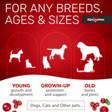 ALFA LOVE PETS - Alfa Love Pets iquid Multivitamin for Dogs 2 Fl.Oz. - The Red Vitamin MX - Multivitamínicos Para Perros - {{ shop.shopifyCountryName }}