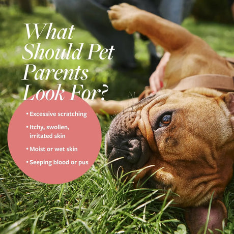 VETERINARY FORMULA - Veterinary Formula Clinical Care Hot Spot & Itch Relief Medicated Spray 8 Fl.Oz. 2 Pack - The Red Vitamin MX - Remedios Para La Picazón De Perros - {{ shop.shopifyCountryName }}