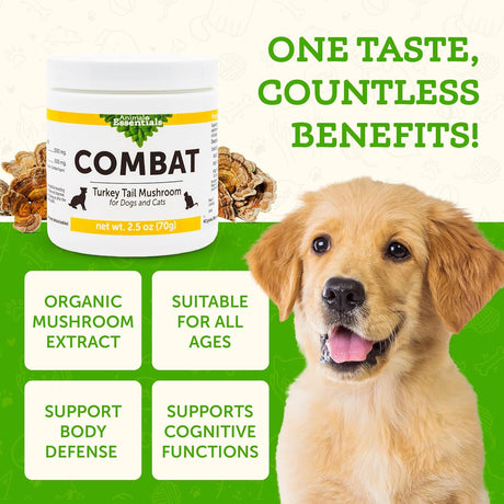 ANIMAL ESSENTIALS - Animal Essentials Combat Turkey Tail Mushroom 70Gr. - The Red Vitamin MX - Suplementos Herbales Para Perros - {{ shop.shopifyCountryName }}