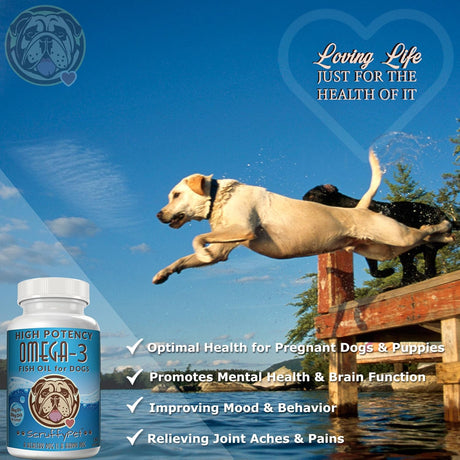 SCRUFFYPET - ScruffyPet Pure Omega 3 Wild Fish Oil for Dogs with Vitamin E 180 Capsulas Blandas - The Red Vitamin MX - Aceite De Pescado Para Perros - {{ shop.shopifyCountryName }}