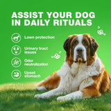 CHEWIA - CHEWIA Grass Burn Spot Chews for Dogs Duck 180 Masticables - The Red Vitamin MX - Salud De Tracto Urinario Para Perros - {{ shop.shopifyCountryName }}
