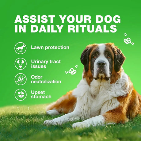 CHEWIA - CHEWIA Grass Burn Spot Chews for Dogs Duck 180 Masticables - The Red Vitamin MX - Salud De Tracto Urinario Para Perros - {{ shop.shopifyCountryName }}