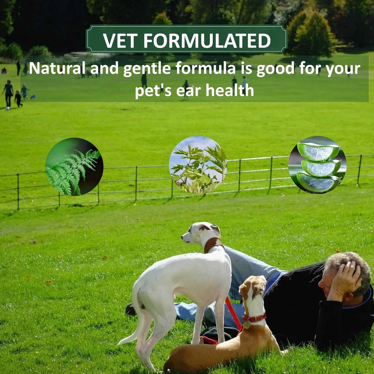 WOLFTAIL - Wolftail Dog Ear Cleaner 4 Fl.Oz. - The Red Vitamin MX - Cuidado Del Oído De Perros - {{ shop.shopifyCountryName }}