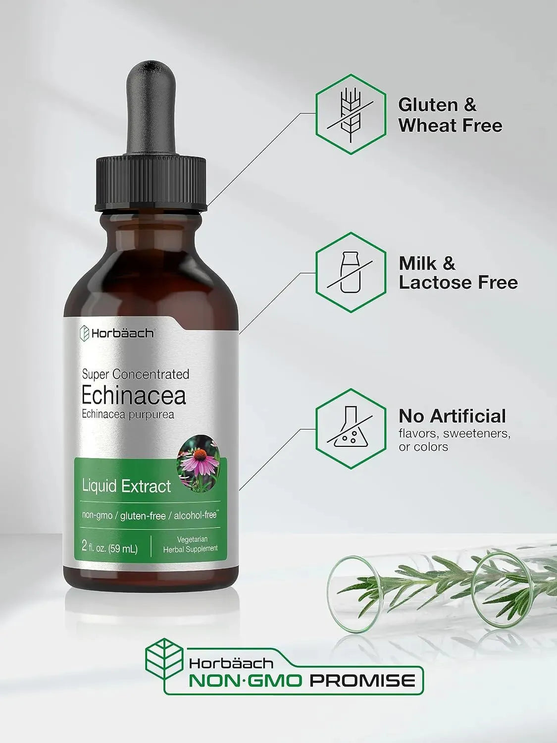HORBAACH - Horbaach Echinacea Drops Liquid Extract 2 Fl.Oz. - The Red Vitamin MX - Suplementos Alimenticios - {{ shop.shopifyCountryName }}